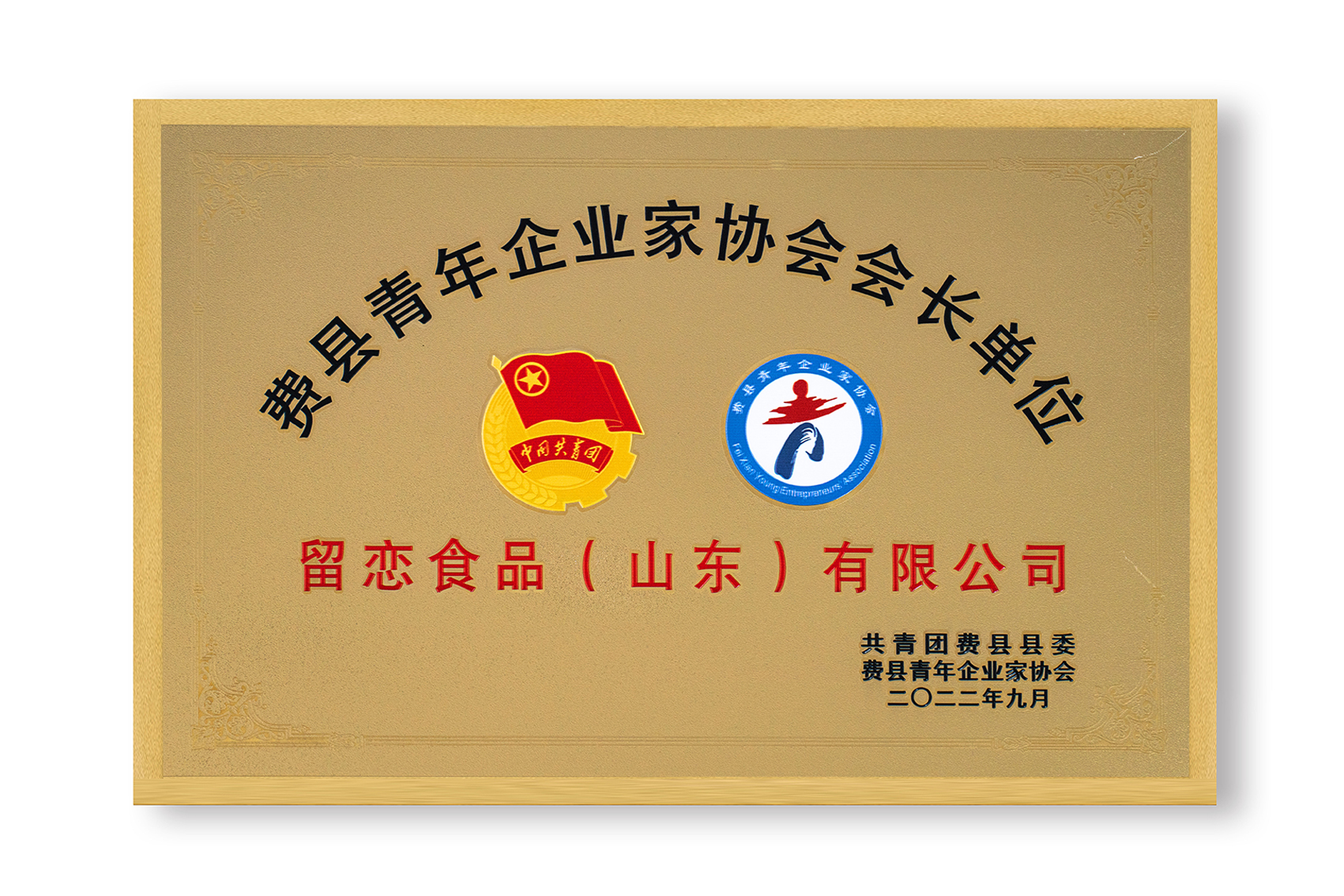 费县青年企业家协会会长单位