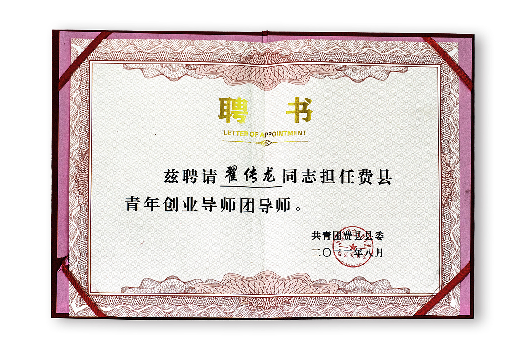 聘请翟传龙同志担任费县青年创业导师团导师